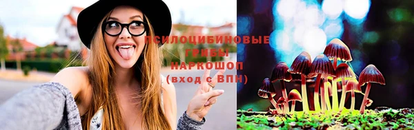 индика Балахна