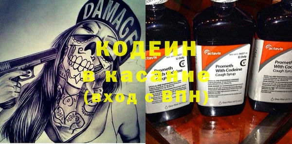 индика Балахна
