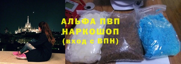 индика Балахна