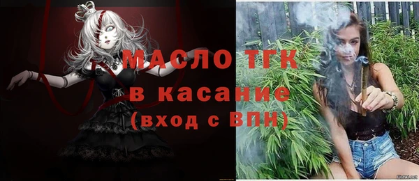 индика Балахна