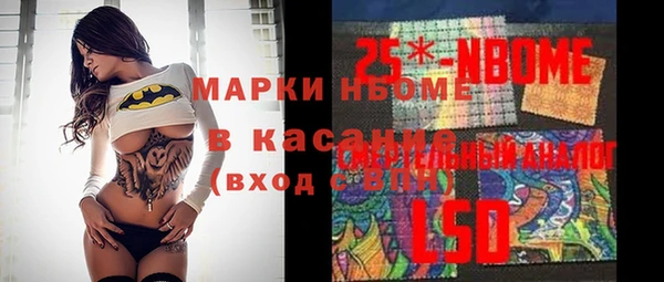 индика Балахна